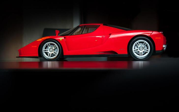 Ferrari Enzo Ferrari/Vytauto Pilkausko nuotrauka