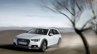 Audi A4 Allroad Quattro/Gamintojo nuotrauka