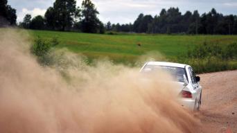 Ralis/Vytauto Pilkausko nuotrauka