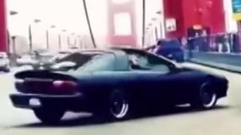 Piešia saules su Camaro Piešia saules su Camaro
