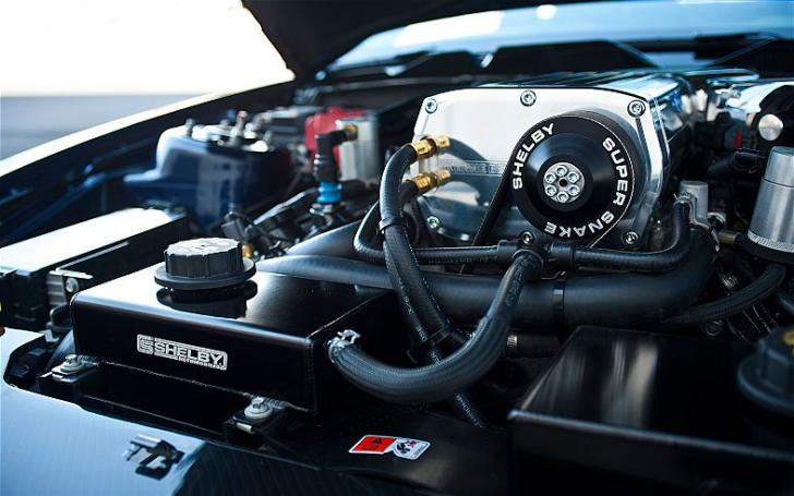 Ford Mustang Shelby 1000/Gamintojo nuotrauka