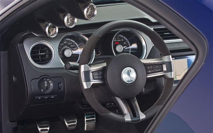 Ford Mustang Shelby 1000/Gamintojo nuotrauka