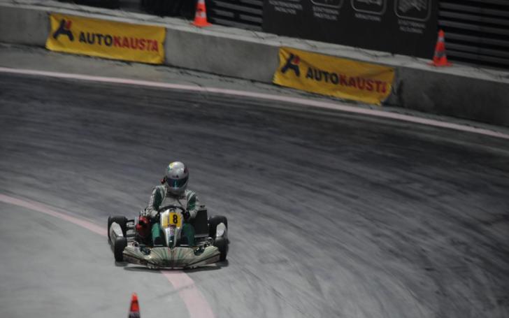 Arena Motor Show 2014