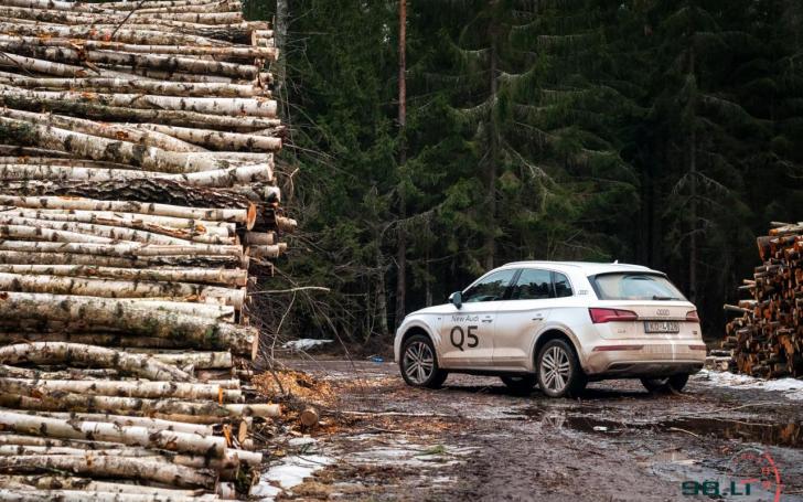 Audi Q5/Vytauto Pilkausko nuotrauka