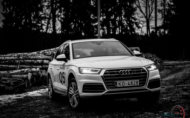 Audi Q5/Vytauto Pilkausko nuotrauka