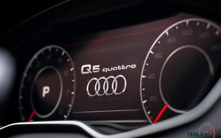 Audi Q5/Vytauto Pilkausko nuotrauka