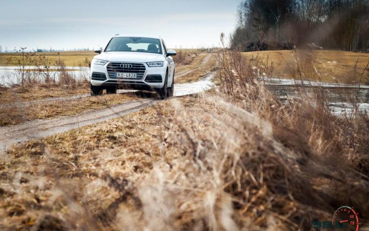 Audi Q5/Vytauto Pilkausko nuotrauka
