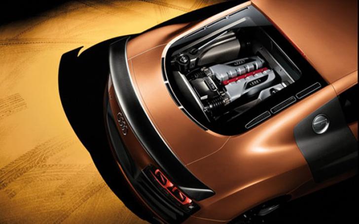 Audi R8 Limited Edition/Gamintojo nuotrauka