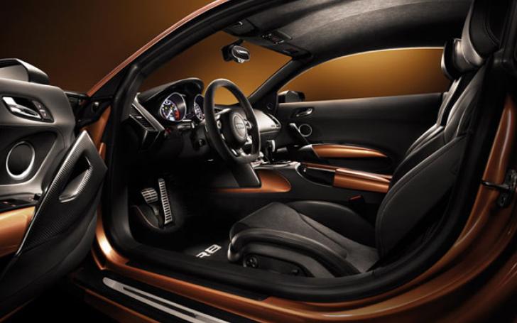 Audi R8 Limited Edition/Gamintojo nuotrauka