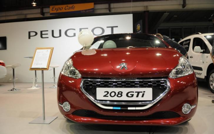 Auto 2014/Vytauto Pilkausko nuotrauka