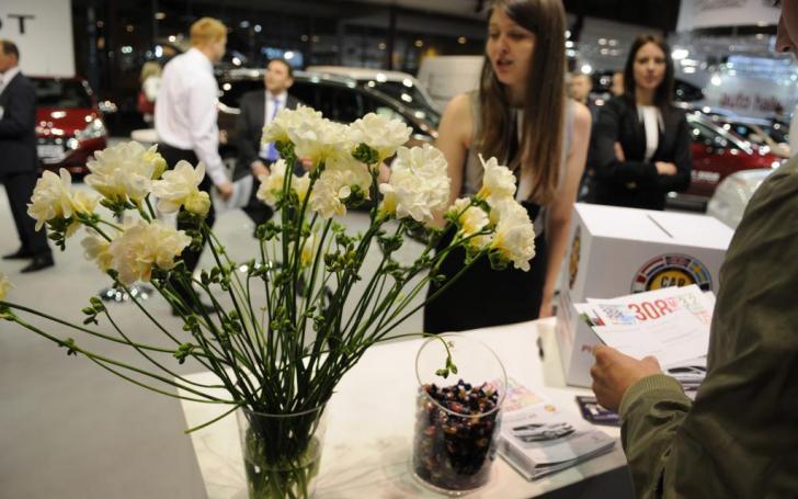 Auto 2014/Vytauto Pilkausko nuotrauka