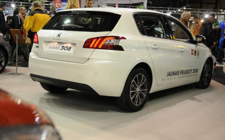 Auto 2014/Vytauto Pilkausko nuotrauka