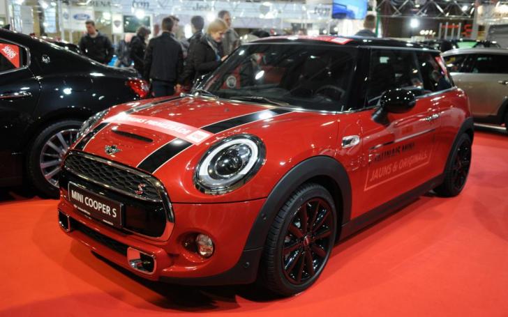 Auto 2014/Vytauto Pilkausko nuotrauka