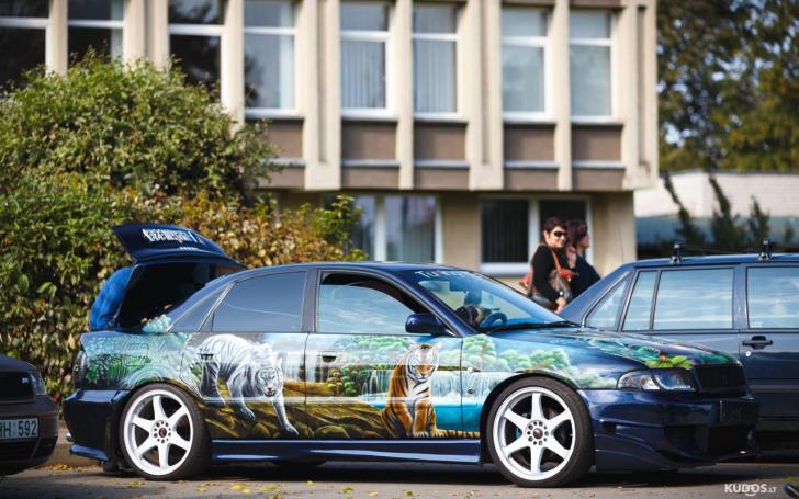 Automobilių paroda Varėnoje/Kudos.lt nuotrauka