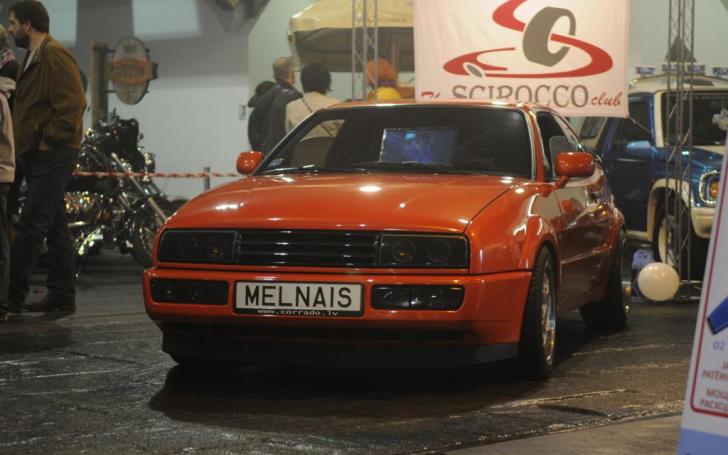 Auto Exotica 2014/Vytauto Pilkausko nuotrauka