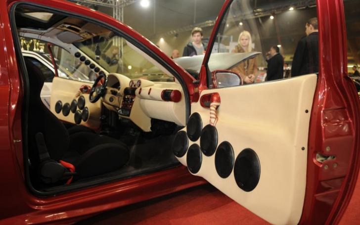 Auto Exotica 2014/Vytauto Pilkausko nuotrauka