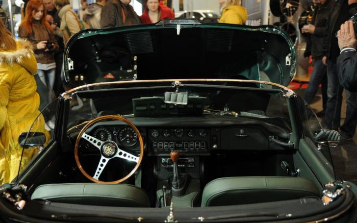 Auto Exotica 2014/Vytauto Pilkausko nuotrauka