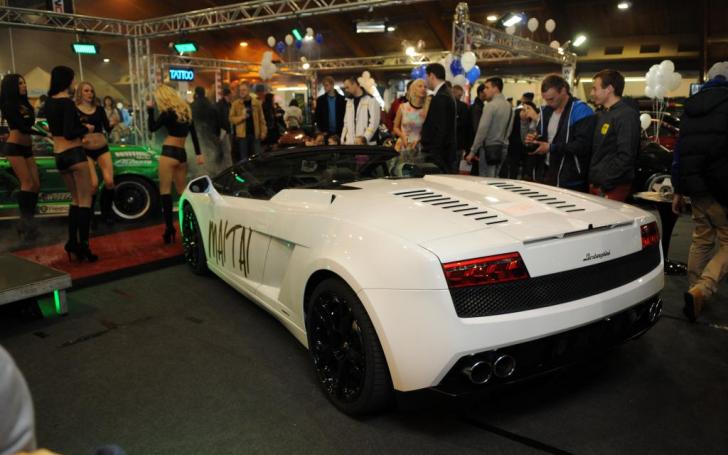 Auto Exotica 2014/Vytauto Pilkausko nuotrauka