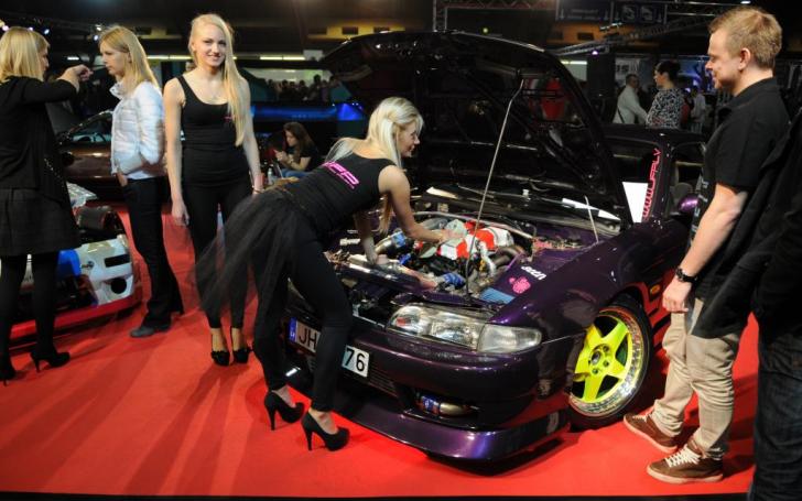 Auto Exotica 2014/Vytauto Pilkausko nuotrauka
