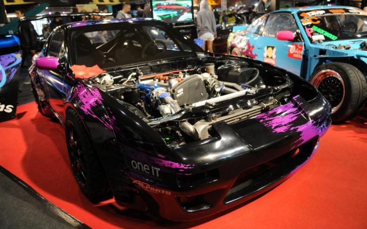 Auto Exotica 2014/Vytauto Pilkausko nuotrauka