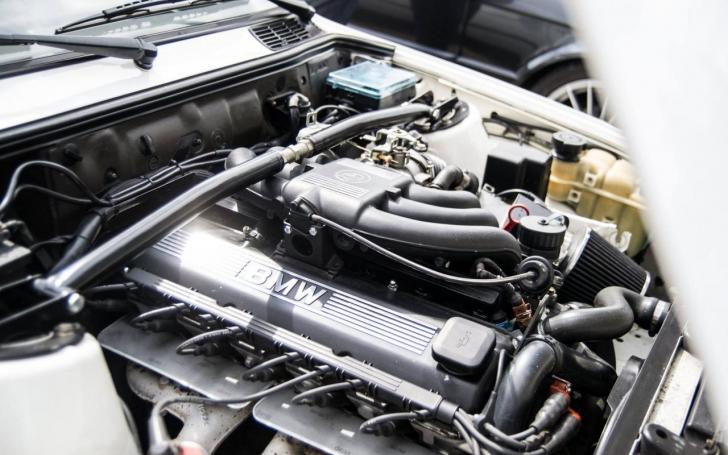 BMW E30 susitikimas/Karolinos Dauskurdytės nuotrauka