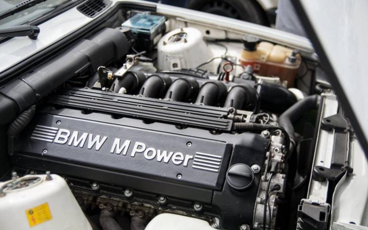 BMW E30 susitikimas/Karolinos Dauskurdytės nuotrauka