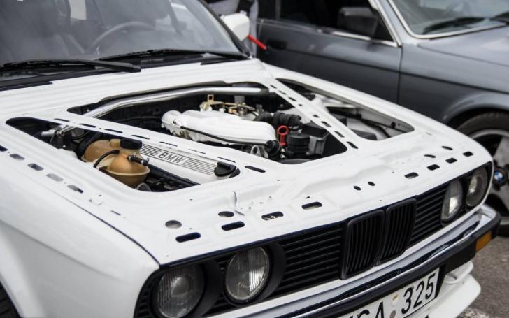 BMW E30 susitikimas/Karolinos Dauskurdytės nuotrauka