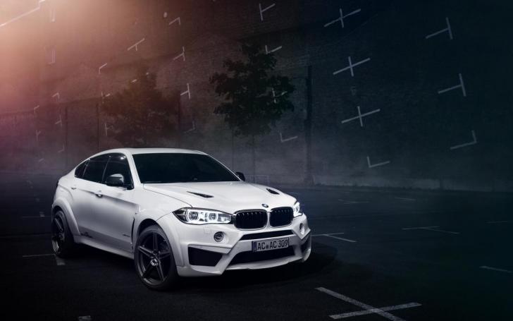BMW X6 Falcon AC Schnitzer/Gamintojo nuotrauka