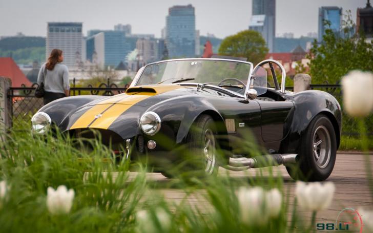 „Shelby Cobra 427“ replika/Vytauto Pilkausko nuotrauka