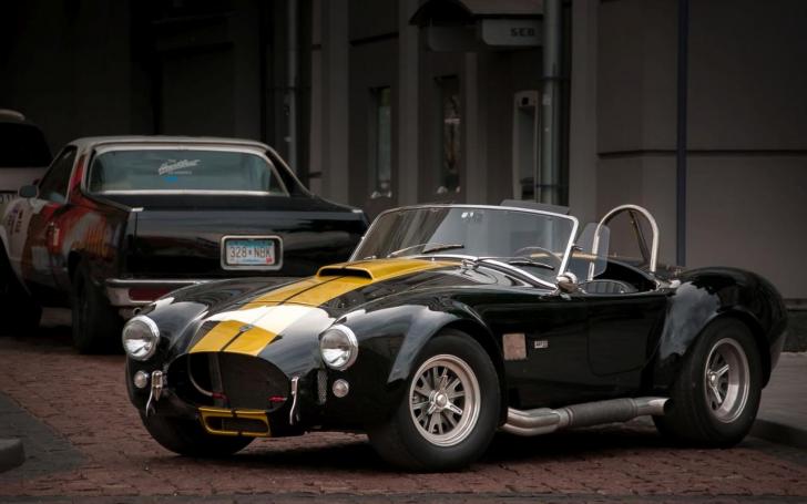 „Shelby Cobra 427“ replika/Vytauto Pilkausko nuotrauka „Shelby Cobra 427“ replika/Vytauto Pilkausko nuotrauka