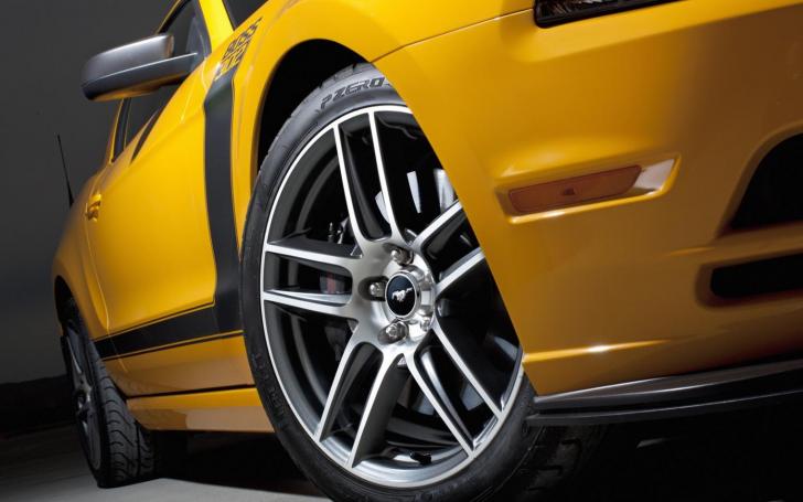 Ford Mustang Boss 302/Gamintojo nuotrauka
