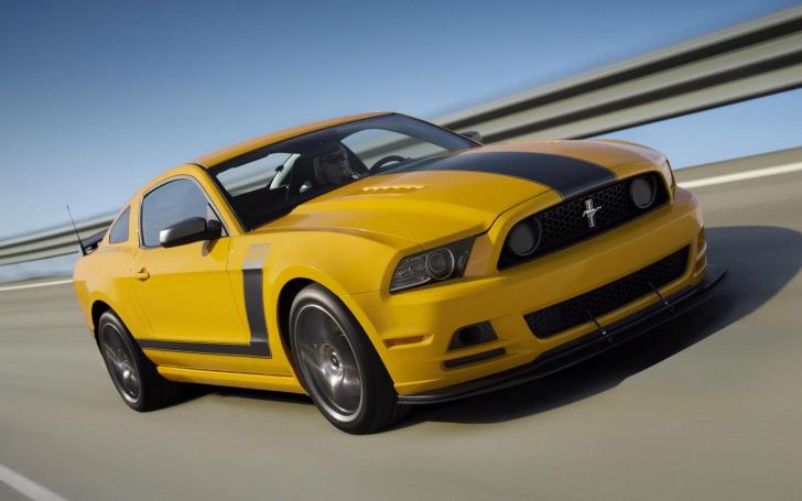 Ford Mustang Boss 302/Gamintojo nuotrauka