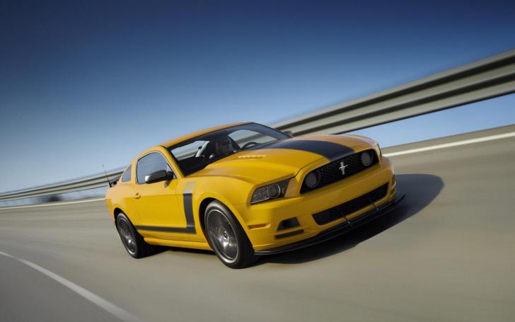Ford Mustang Boss 302/Gamintojo nuotrauka