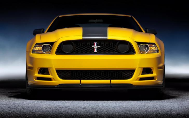 Ford Mustang Boss 302/Gamintojo nuotrauka