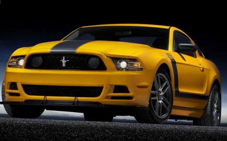 Ford Mustang Boss 302/Gamintojo nuotrauka