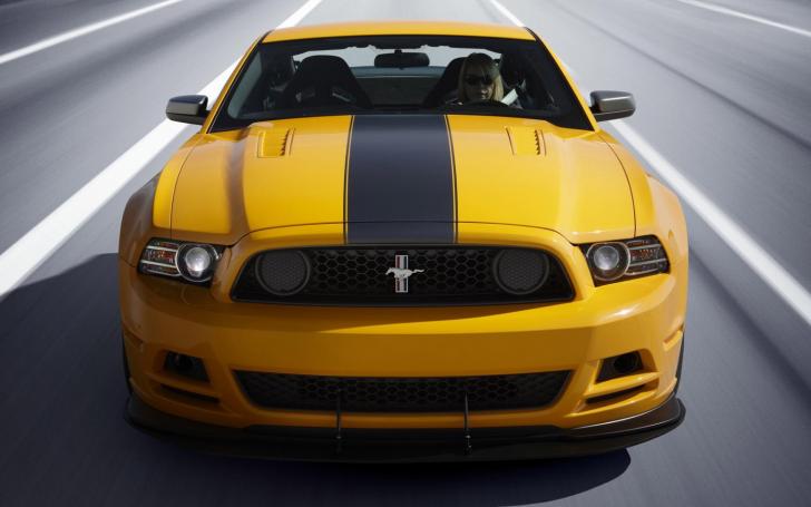 Ford Mustang Boss 302/Gamintojo nuotrauka