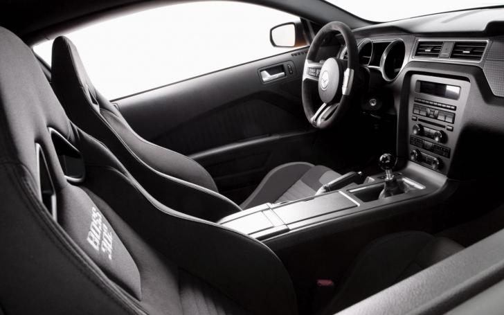 Ford Mustang Boss 302/Gamintojo nuotrauka