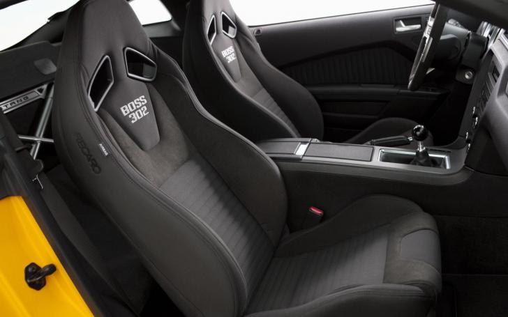 Ford Mustang Boss 302/Gamintojo nuotrauka