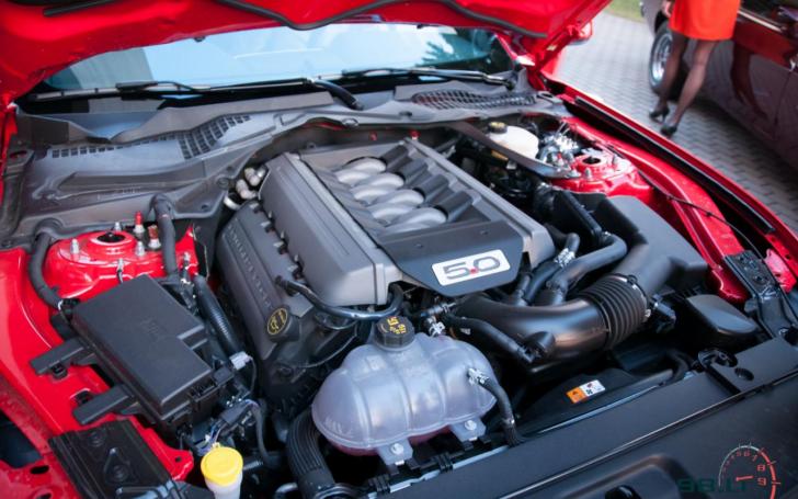 Ford Mustang pristatymas/Vytauto Pilkausko nuotrauka