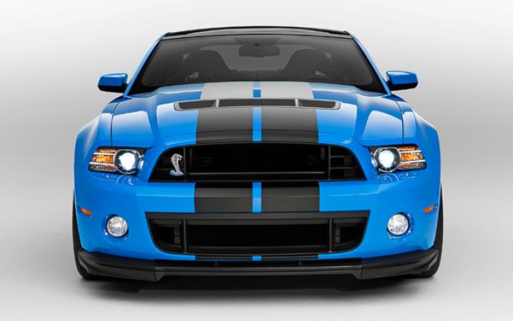 Ford Mustang Shelby GT500/Gamintojo nuotrauka