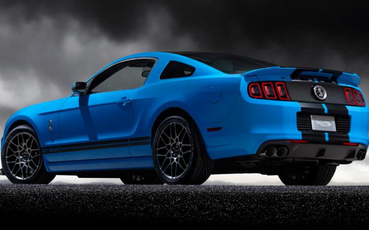 Ford Mustang Shelby GT500/Gamintojo nuotrauka