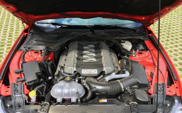 Ford Mustang/Dainiaus Juodelio nuotrauka