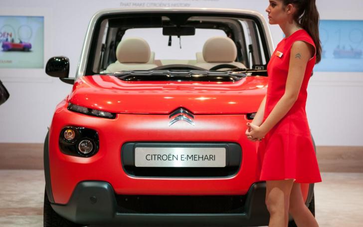 Paryžiaus automobilių paroda 2016/Vytauto Pilkausko nuotrauka