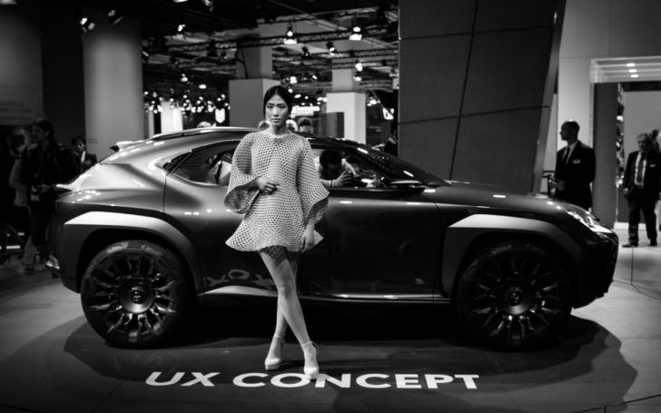 Paryžiaus automobilių paroda 2016/Vytauto Pilkausko nuotrauka