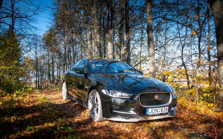 Jaguar Tour/Vytauto Pilkausko nuotrauka