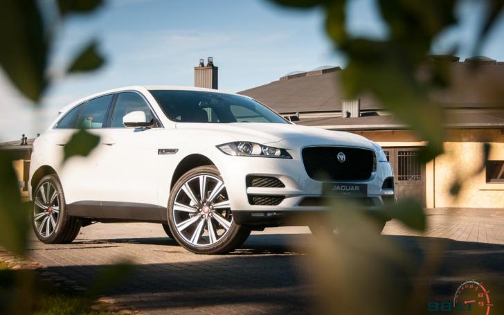 Jaguar Tour/Vytauto Pilkausko nuotrauka