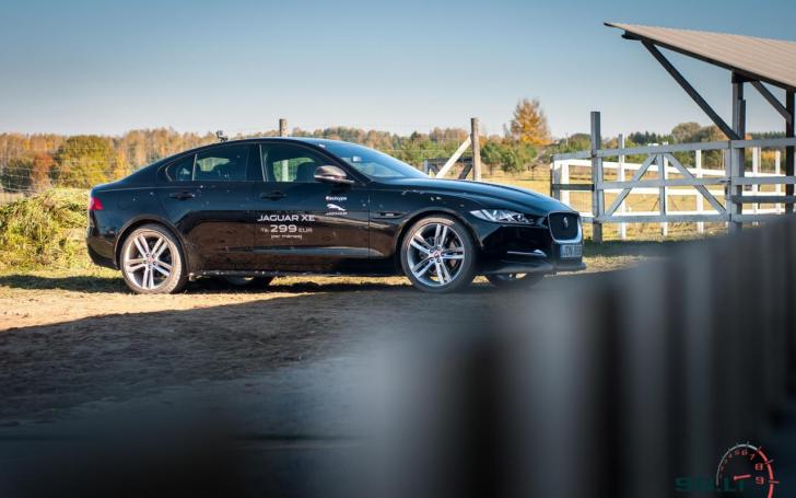 Jaguar Tour/Vytauto Pilkausko nuotrauka