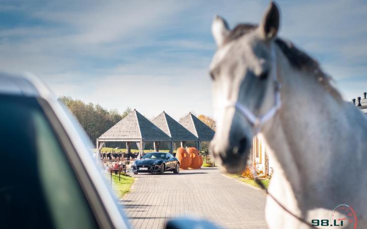 Jaguar Tour/Vytauto Pilkausko nuotrauka