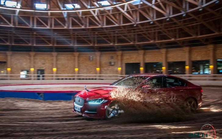 Jaguar Tour/Vytauto Pilkausko nuotrauka