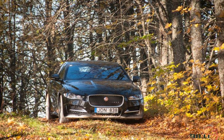 Jaguar Tour/Vytauto Pilkausko nuotrauka